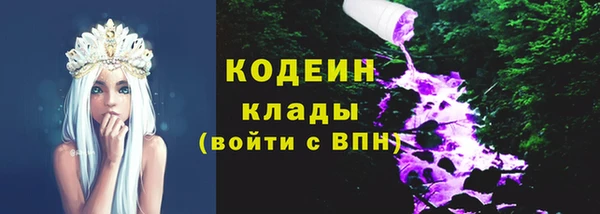 хмурый Фурманов