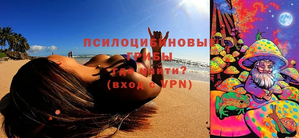 хмурый Фурманов