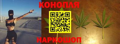 прущая мука Гай